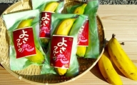 高級 バナナ 600g 以上 国産 有機栽培 高知初 糖度 25度以上 果物 フルーツ 高知県 須崎市