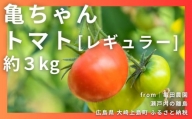[1〜7月発送] まるで果実！亀ちゃんトマト レギュラー約3kg
