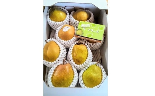 西洋梨（ラ・フランス）３ｋｇ　特秀品　0044-2505