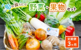 【ふるさと納税】野菜セット 定期便 3ヶ月 旬の採りたて 野菜 果樹 セット フルーツセット