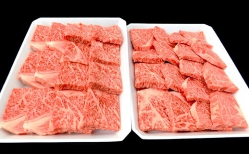 焼肉 牛肉 霜降り 特撰 リブロース肉 800g 土佐 黒毛 和牛 【最上位等級】 TM016