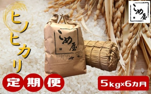Z18【定期便6回】熊本県産「ヒノヒカリ」5kg×6カ月 315054 - 熊本県玉名市