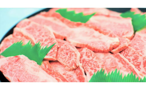 11 特撰飛騨牛A5等級 上カルビ(バラ) 焼肉用800g 315251 - 岐阜県各務原市