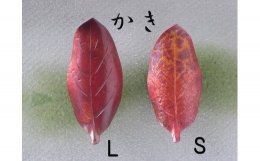 【ふるさと納税】木の葉の箸置き ペアセット かき FC010097