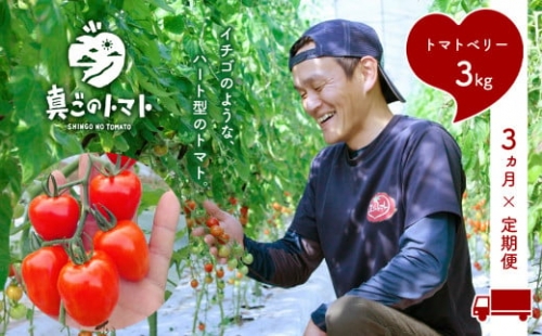 X2 【定期便】坂本農園のミニトマト・トマトベリー(3kg×3ヶ月)