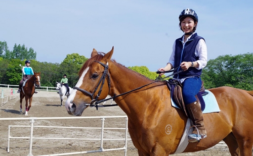明石乗馬協会 プレミアム乗馬体験コース 315550 - 兵庫県明石市