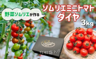 ソムリエミニトマト・ダイヤ ( 3kg ) | 野菜 やさい トマト とまと ミニトマト みにとまと 熊本県 玉名市