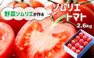 ソムリエトマト ( トマト 2.6kg ) | 野菜 やさい とまと 野菜ソムリエ 畑の宝石 熊本県 玉名市