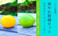 [11月発送] 大崎上島産 爽やか柑橘セット 早生みかん/グリーンレモン 約4kg