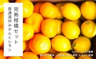 [1〜2月発送] 大崎上島産 完熟柑橘セット 普通温州みかん/レモン 約4kg