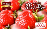 いちご 恋のぞみ 約400g×2パック 合計約800g [12月上旬から2025年3月下旬発送予定]いちご イチゴ 苺 恋のぞみ フルーツ くだもの 果物 熊本県産 宇城市