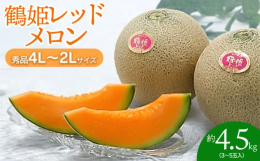鶴姫レッドメロンは、日本三大砂丘の一つといわれる「庄内砂丘」で栽培しています。庄内砂丘で作られるメロンは、澄んだ空気と良質な地下水、加えて砂丘地特有の昼夜の寒暖の差によってより美味しいメロンができます