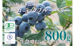 月山高原のとれたて新鮮な生のブルーベリーをお届けします。空気のおいしい自然環境の中で無農薬で有機栽培し手摘みで収穫しています。生でしか味わえない高原の風のような甘酸っぱさをお楽しみください。2019年
