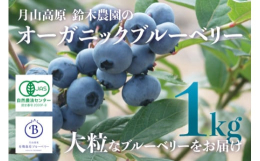 月山高原のとれたて新鮮な生のブルーベリーをお届けします。空気のおいしい自然環境の中で無農薬で有機栽培し手摘みで収穫しています。生でしか味わえない高原の風のような甘酸っぱさをお楽しみください。2019年