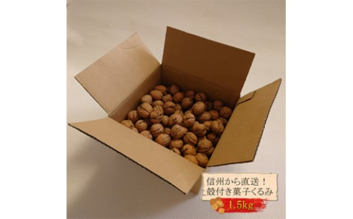 国産 菓子くるみ 殻付 1 5kg 信州 長野県 地元農家から自然の恵みをお届け 長野県御代田町 Au Pay ふるさと納税 国産 菓子くるみ 殻付 1 5kg 信州 長野県 地元農家から自然の恵みをお届け 長野県御代田町 Au Pay ふるさと納税