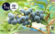 生果ブルーベリー　1㎏　旬 フルーツ 果物