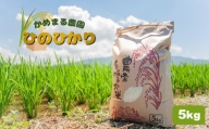 かめまる農園 の 「 ひのひかり 」 5kg | 米 こめ お米 おこめ 白米 精米 ヒノヒカリ 熊本県 玉名市