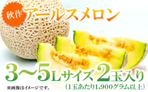 益田産アールスメロン（2玉入り）【秋作】【メロン 先行予約 3L～5Lサイズ 10月17日～10月30日発送 期間限定 季節限定 早期予約 青肉 果物 くだもの フルーツ メロン アールスメロン 2玉 秋作】