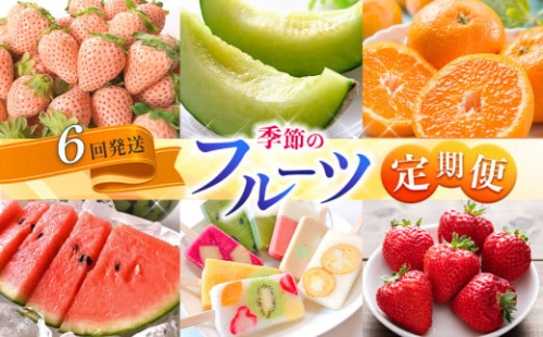 【定期便】 熊本人気フルーツ [旬な季節に合計6回発送] | フルーツ 果物 くだもの 旬 人気 定期 定期便 熊本県 玉名市