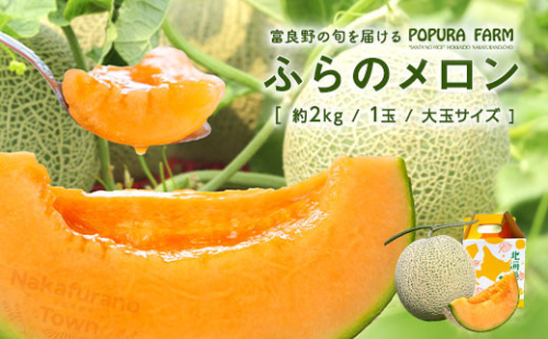 【2026年発送】【ポプラファーム】富良野メロン（2kg以上　秀品　大玉1玉）