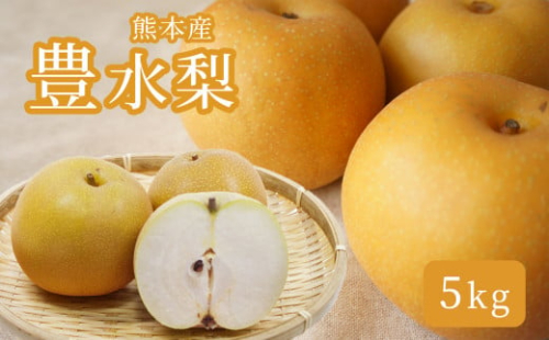 熊本産 梨 豊水 ( 5kg ) | フルーツ 果物 くだもの なし ナシ 熊本県 玉名市