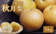 熊本産 梨 秋月 ( 5kg ) | フルーツ 果物 くだもの なし ナシ 梨のサラブレッド 熊本県 玉名市