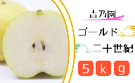 【吉乃園】松戸の完熟梨「ゴールド二十世紀」5kg