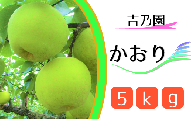 【吉乃園】松戸の完熟梨「かおり」5kg