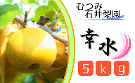 【むつみ石井梨園】松戸の新鮮もぎたて梨「幸水」5kg
