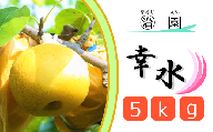 【丸治園】松戸の完熟梨「幸水」5kg