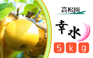 CL003 【高松園】松戸の完熟梨「幸水」5kg