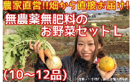 BR002 松戸市の４人家族から旬の自然栽培野菜セットＬ