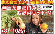 BR003 【毎月定期便12回】松戸市の4人家族から旬の自然栽培野菜セットM