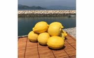 青いレモンの島　ジャンボレモン2kg(冷蔵)【1113730】