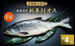 【ふるさと納税】北海道産新巻鮭オス(約4kg) 1尾【1112939】