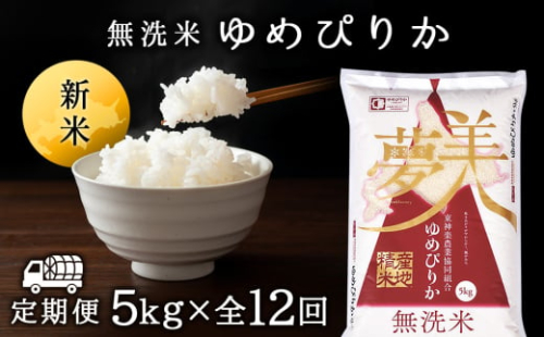 【お米の定期便】ゆめぴりか 5kg 《無洗米》全12回【定期便・頒布会特集】