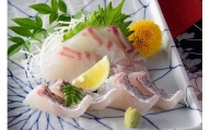愛媛県産養殖真鯛フィレ２枚（お頭付き冷凍）