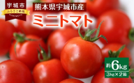 ミニトマト 約3kg×2箱 合計約6kg[11月下旬から2025年5月上旬発送予定]やさい 野菜 トマト とまと プチトマト 新鮮 フレッシュ