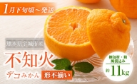 【2024年1月下旬～順次発送予定】宇城市産 デコみかん 約11kg 不知火 形不揃い 柑橘 フルーツ