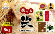 【定期便3回】熊本県産 森のくまさん 5kg×3回 | 米 こめ お米 おこめ 白米 精米 玄米 定期 定期便 熊本県 玉名市