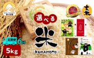 【定期便6回】 熊本県産森のくまさん 5kg×6回 | 米 こめ お米 おこめ 白米 精米 玄米 定期 定期便 熊本県 玉名市
