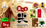 【定期便12回】 熊本県産 森のくまさん 5kg×12回 | 米 こめ お米 おこめ 白米 精米 玄米 定期 定期便 熊本県 玉名市
