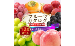年末駆け込みしなくても大丈夫!年内に寄付して、カタログの中から特産品をゆっくりお選びいただけます。山梨産のもぎたてフルーツが充実したギフトカタログ。シーズンに関係なくいつでもお好きな時にお試しいただけ