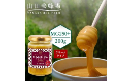 ●[マヌカ 蜂蜜 はメチルグリオキサールの量が豊富] マヌカハニー の『 マヌカ蜂蜜MG250+※(クリームタイプ) 』はメチルグリオキサールの量が豊富な はちみつ です。MG※値が高いほど、より健康