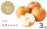 CC012【真嶋園】松戸の完熟梨 品種おまかせ 3kg