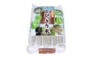 香取市産 コシヒカリ 玄米 「とびっきり米」4.5kg【1135711】