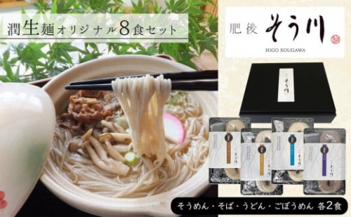 DL3 潤生麺（うどん・そば・そうめん・ごぼうめん）オリジナルセット 計8食入り 323595 - 熊本県玉名市