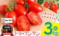 ミニトマト生産量 日本一 玉名市 !！ 「 トマ・ランタン 」 約 3kg ミニトマト トマト Vege Rise 野菜 高糖度 濃厚 アイコ