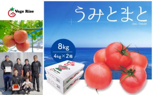 DN2-1 ＜１月発送予定＞玉名市産トマト「うみとまと」 8kg（4kg×2箱） 323671 - 熊本県玉名市