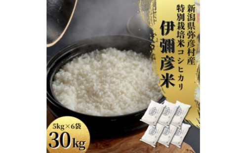 令和7年 特別栽培米コシヒカリ「伊彌彦米」30kg(5kg×6袋)新潟県産 精米 弥彦村【1006487】